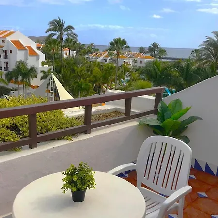 Seaview Penthouse Studio 公寓 美洲海滩